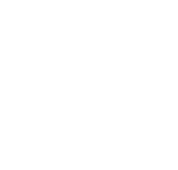 VISA VIRTUON